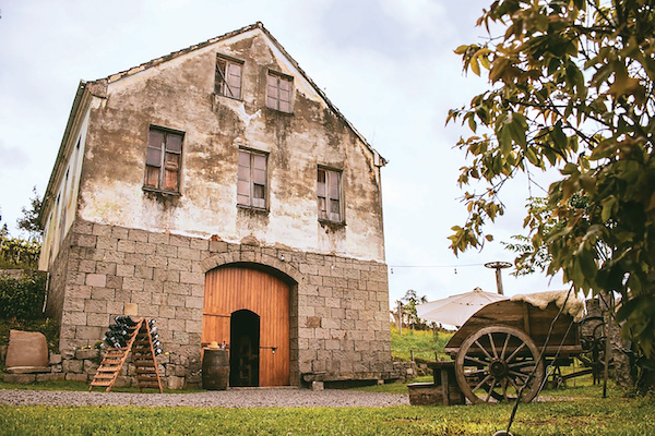 vinicola-videiras-carraro.jpeg